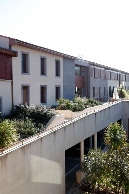 adonis carcassonne1 (1)